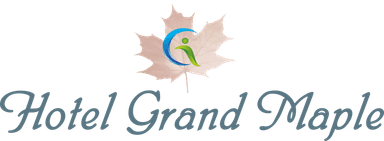 Transparent Logo