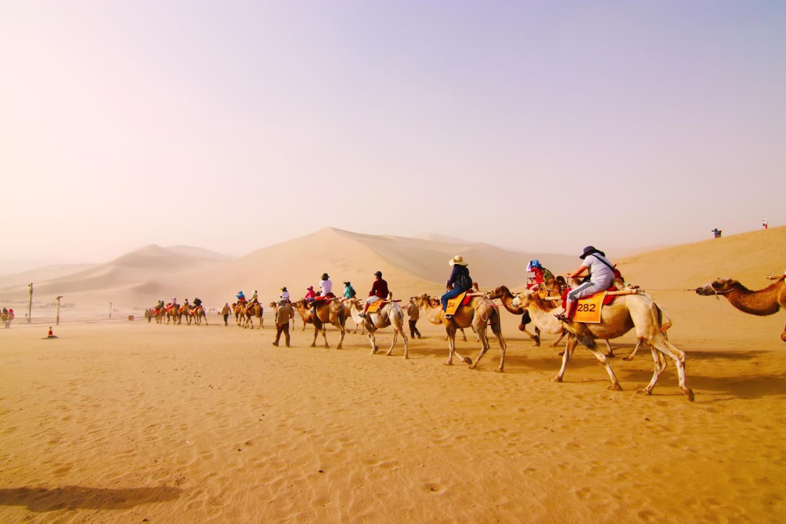Desert Wonder