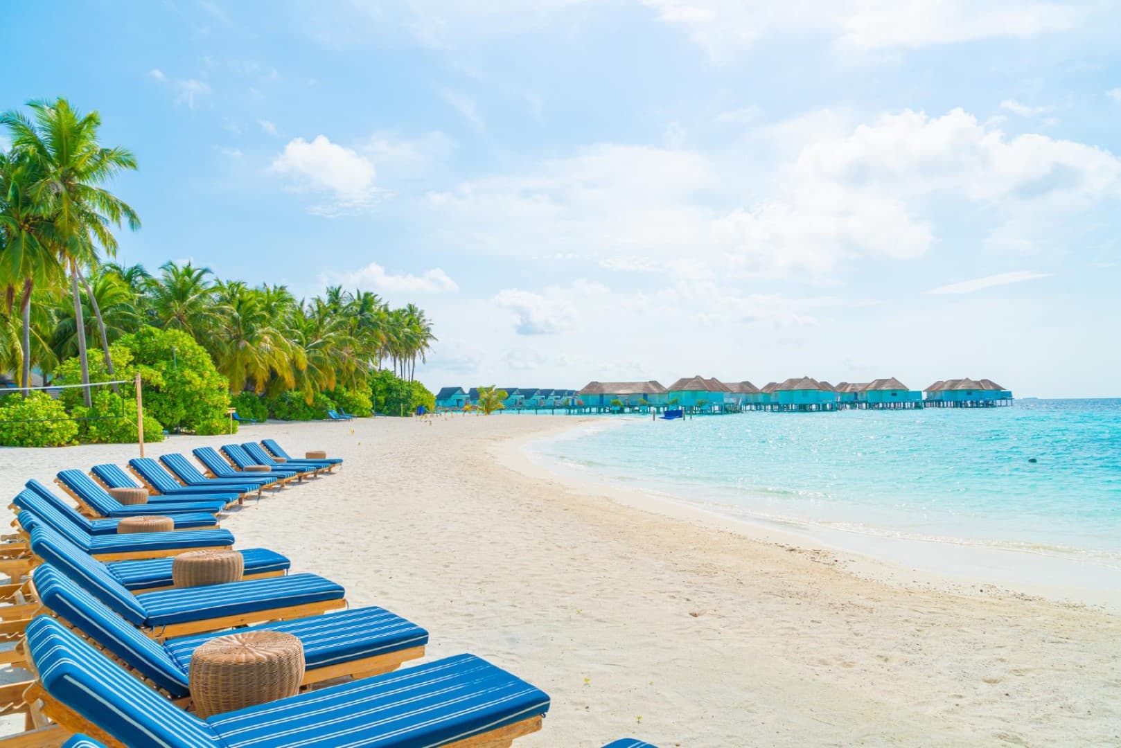 Tropical Paradise